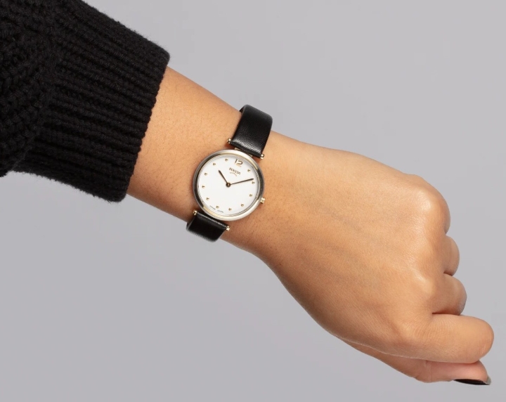 Obrazek Boccia Titanium