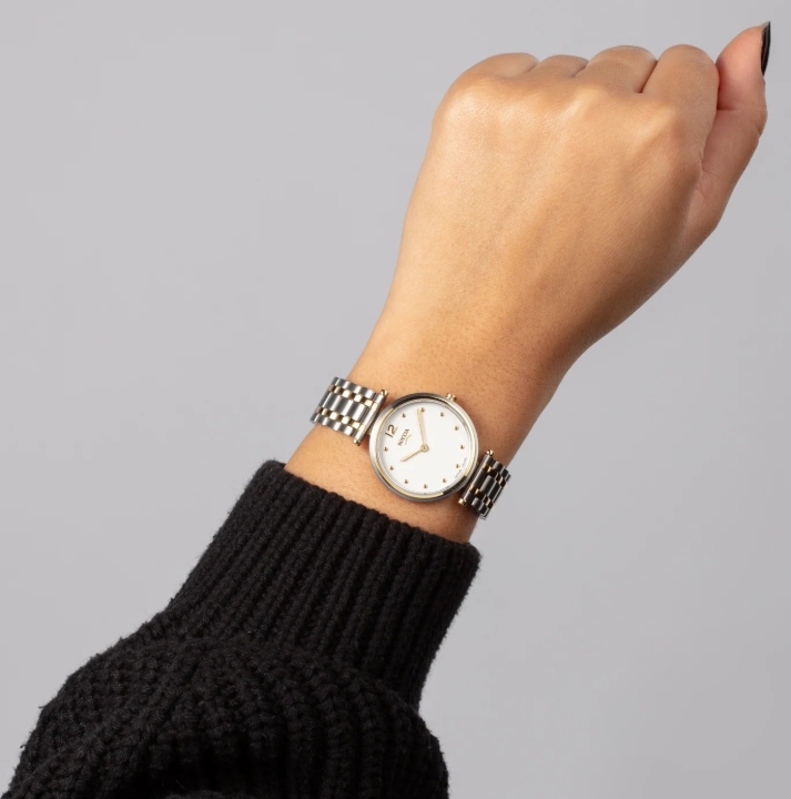 Obrazek Boccia Titanium