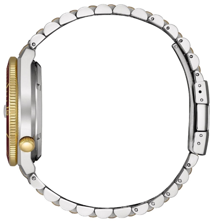 Obrazek Citizen Tsuyosa Shore