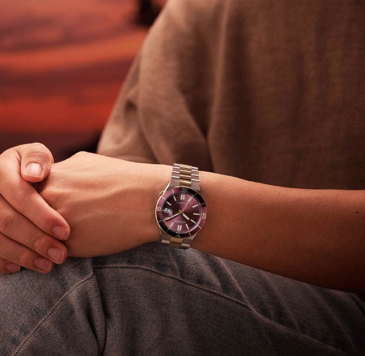 Obrazek Citizen Tsuyosa Shore