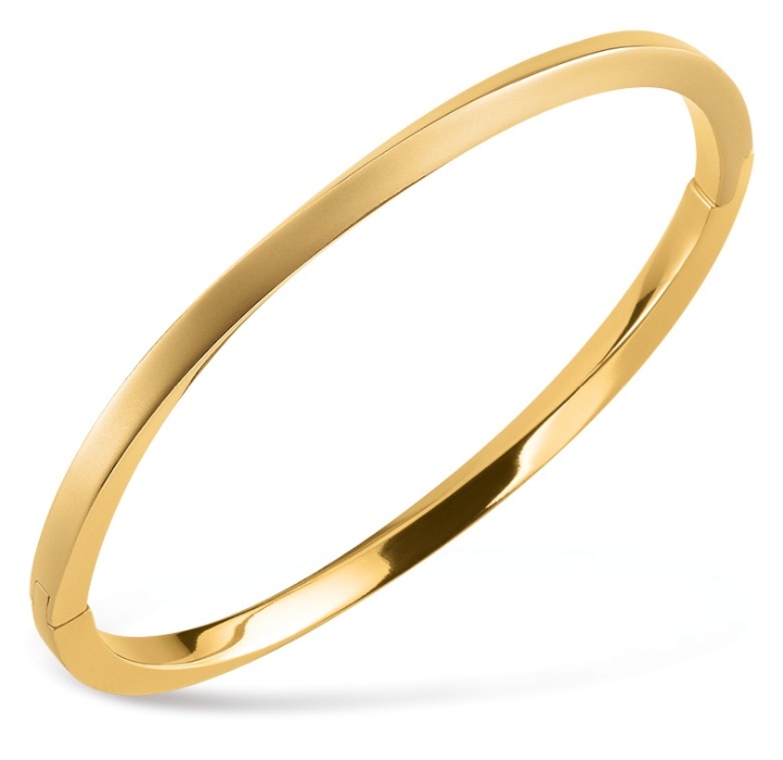 Obrazek Boccia Titanium šperk