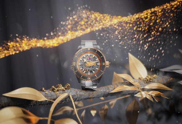 Obrazek RADO Rado Captain Cook High-Tech Ceramic Skeleton