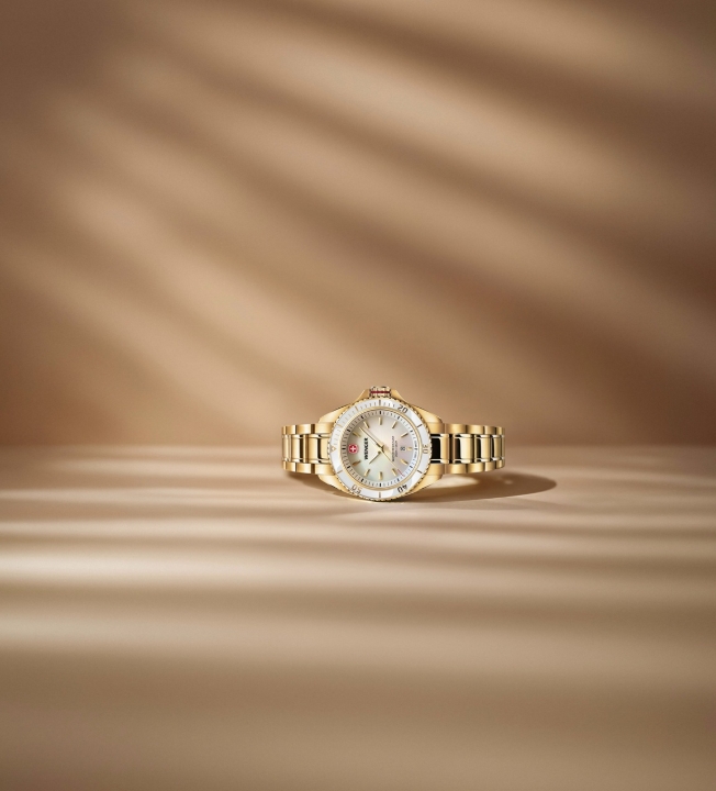 Obrazek Wenger Executive