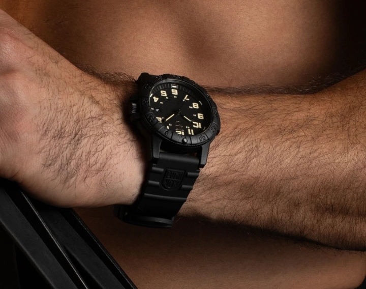 Obrazek Luminox Leatherback Sea Turtle Giant 0320 Series