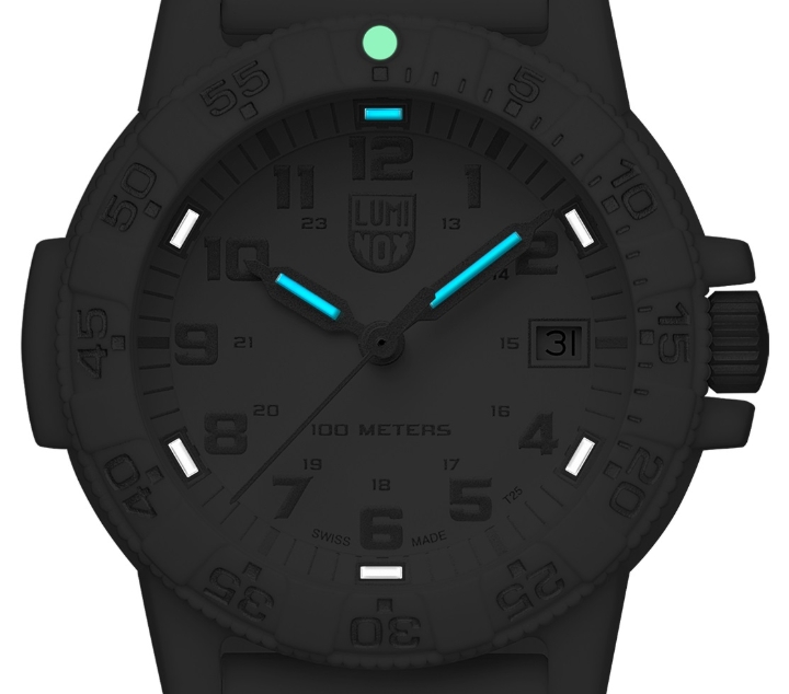 Obrazek Luminox Leatherback Sea Turtle 0300 Series