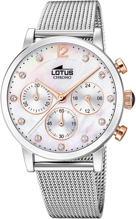 Obrazek Lotus Trendy