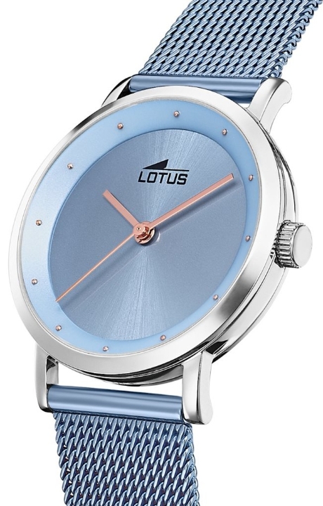 Obrazek Lotus Trendy