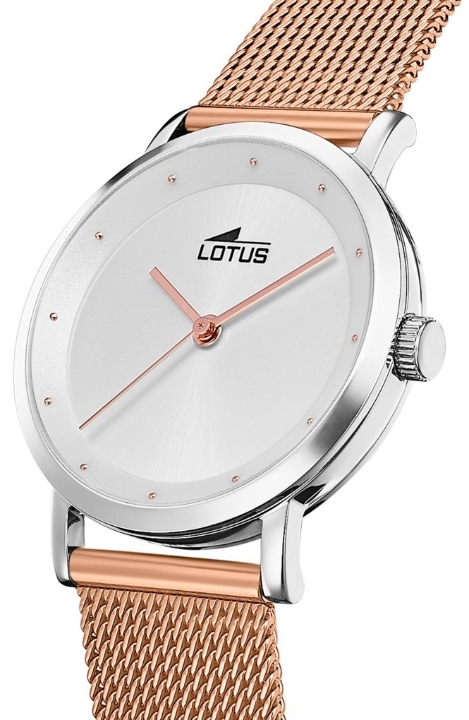 Obrazek Lotus Trendy