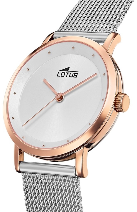 Obrazek Lotus Trendy