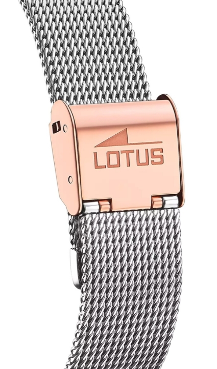 Obrazek Lotus Trendy