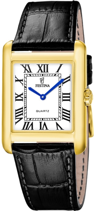 Obrazek Festina Classics