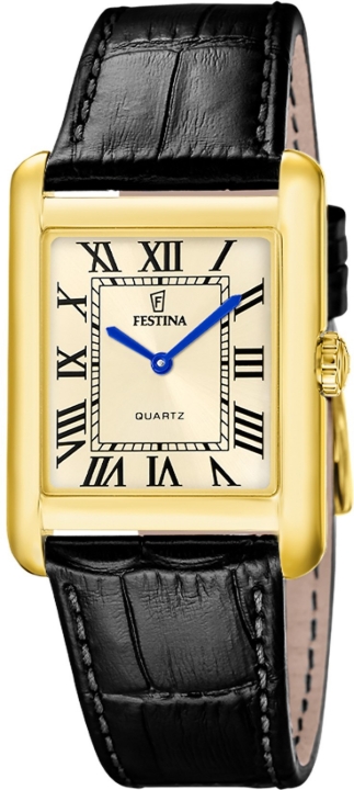 Obrazek Festina Classics