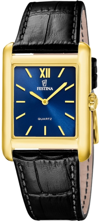 Obrazek Festina Classics