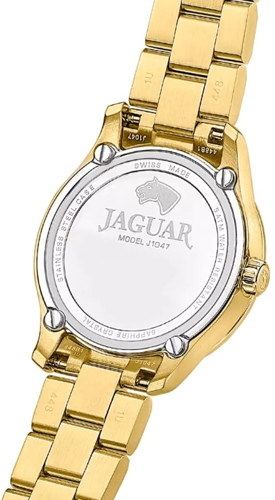 Obrazek Jaguar Acamar