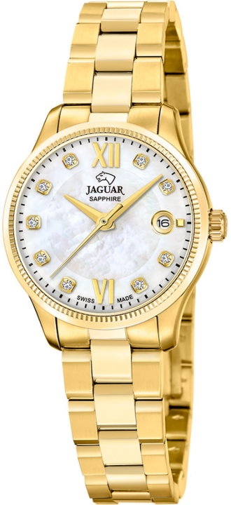 Obrazek Jaguar Acamar