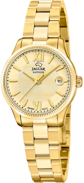Obrazek Jaguar Acamar
