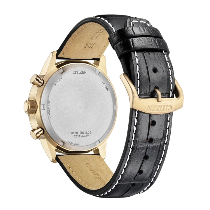 Obrazek Citizen Eco-Drive Pilot Chrono