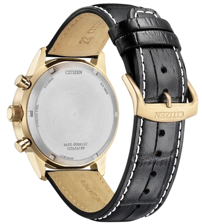 Obrazek Citizen Eco-Drive Pilot Chrono