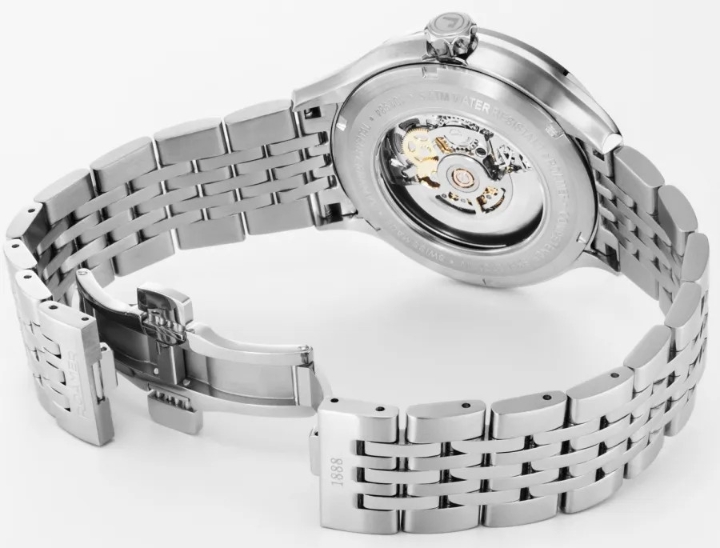 Obrazek Roamer Competence Skeleton IV