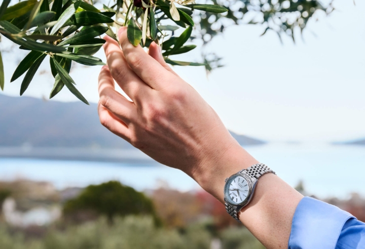 Obrazek Seiko Presage Classic Series