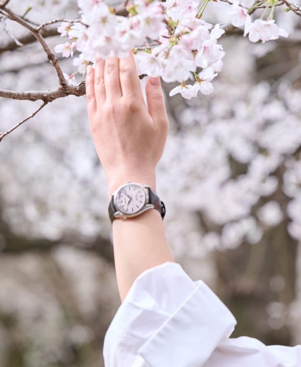 Obrazek Seiko Presage Classic