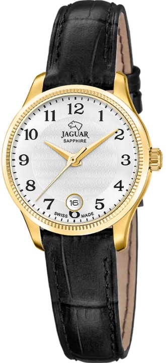 Obrazek JAGUAR ACAMAR