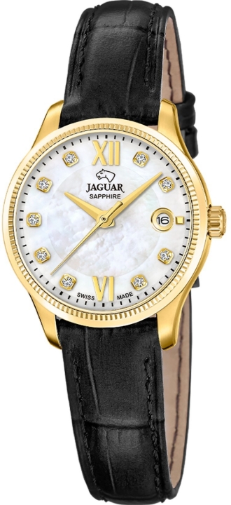 Obrazek JAGUAR ACAMAR