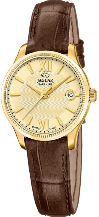 Obrazek JAGUAR ACAMAR