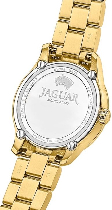 Obrazek JAGUAR ACAMAR